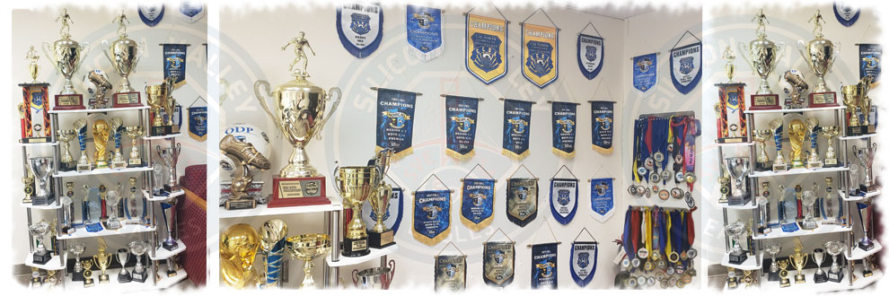 Club awards trophies