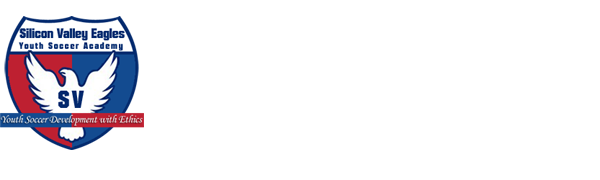 Silicon Valley Eagles 