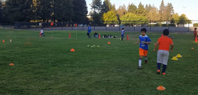 SV Eagles Training