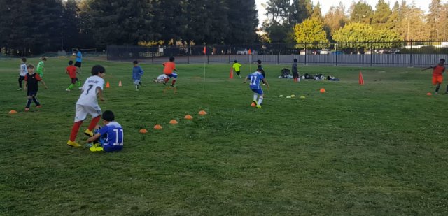 SV Eagles Training