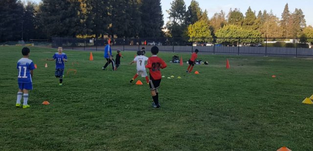 SV Eagles Training