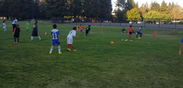 SV Eagles Training