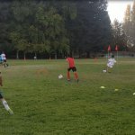 SV Eagles Training