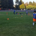 SV Eagles Training