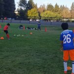 SV Eagles Training