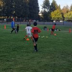 SV Eagles Training