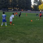 SV Eagles Training