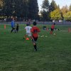 SV Eagles YSA Albums